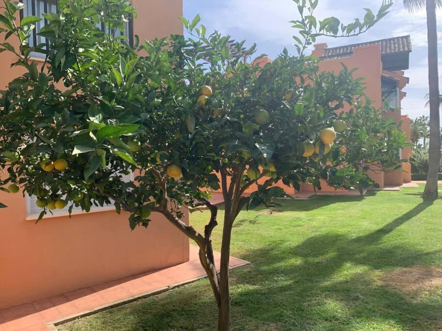 Schoenes Penthouse Mit Meerblick Pura Vida Bahía de Casares Exterior foto